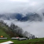 جنگل ابر کجاست