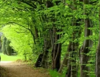 جاده اسالم به خلخال