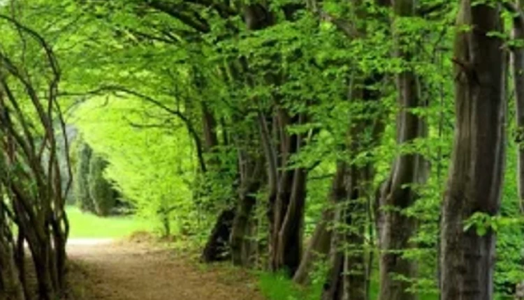 جاده اسالم به خلخال