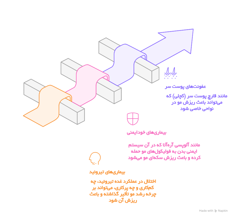 برای بزرگ شدن تصویر کلیک کنید 